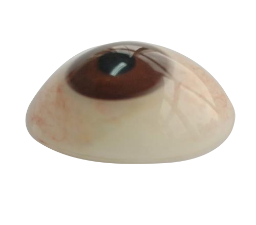 抚州微雕义眼定制
